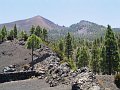La Palma