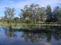Narrabri