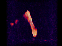 Rotating HI data cube of NGC 55 Rotating HI data cube of NGC 55