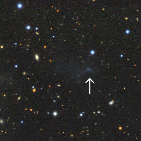DESI Legacy Surveys image of a gas-rich galaxy with low optical luminosity